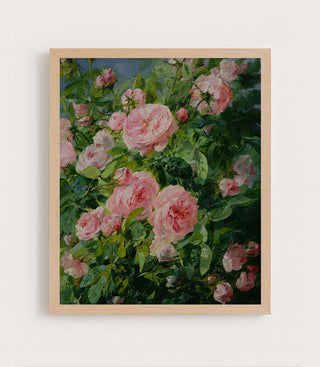 Pink Roses II