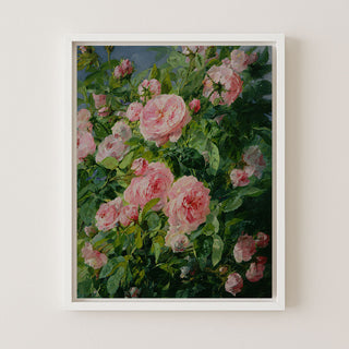 Pink Roses II