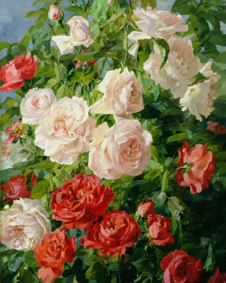 PINK ROSES I - Framed Art & Art Prints - Museum Quality Art