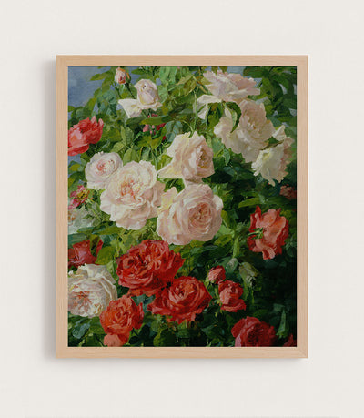 Pink Roses I