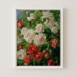 Pink Roses I