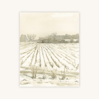PLEASANT PLACES — Primary Image