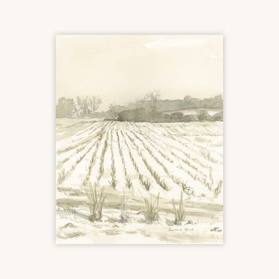 PLEASANT PLACES — Primary Image