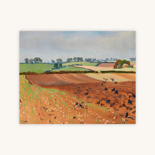 PLOUGHED FIELD — Primary Image