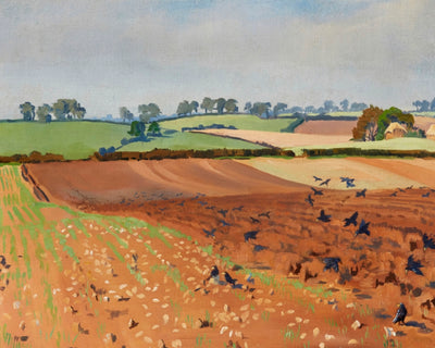 PLOUGHED FIELD