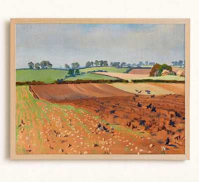 Ploughed Field