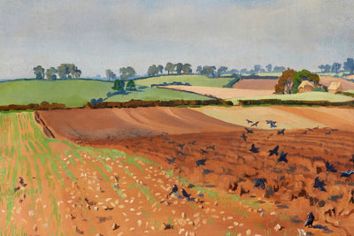 PLOUGHED FIELD