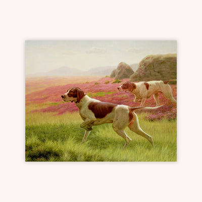 POINTERS IN A LANDSCAPE — Primary Image