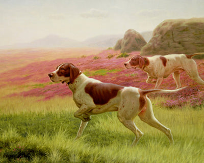 POINTERS IN A LANDSCAPE