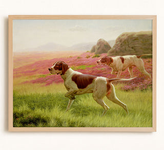 Pointers in a Landscape