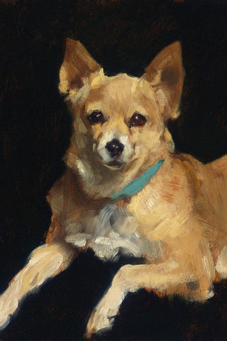 POINTY - Museum Quality Art