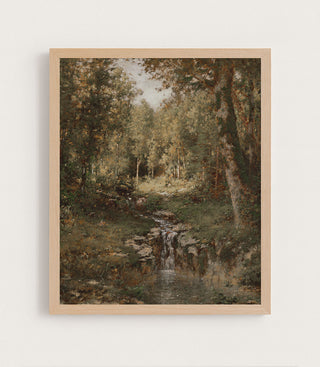 Pool in the Woods