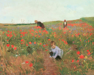 Poppies in a Field