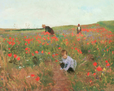 Poppies in a Field