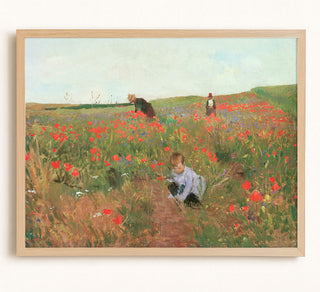 Poppies in a Field