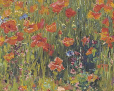 Poppies