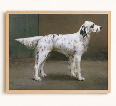 Portrait of a Dog