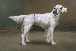 PORTRAIT OF A DOG