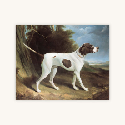 PORTRAIT OF A LIVER AND WHITE POINTER — Primary Image