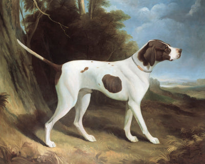 PORTRAIT OF A LIVER AND WHITE POINTER