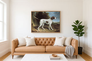 Portrait of a Liver and White Pointer