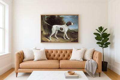 Portrait of a Liver and White Pointer
