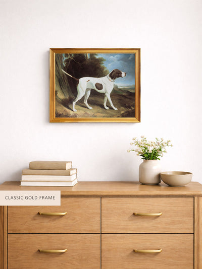 Portrait of a Liver and White Pointer