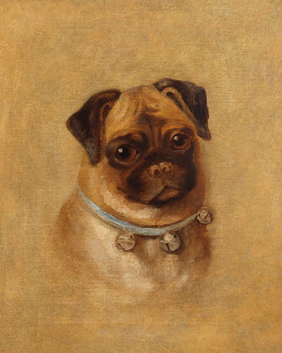 PORTRAIT OF A PUG - Museum Quality Art