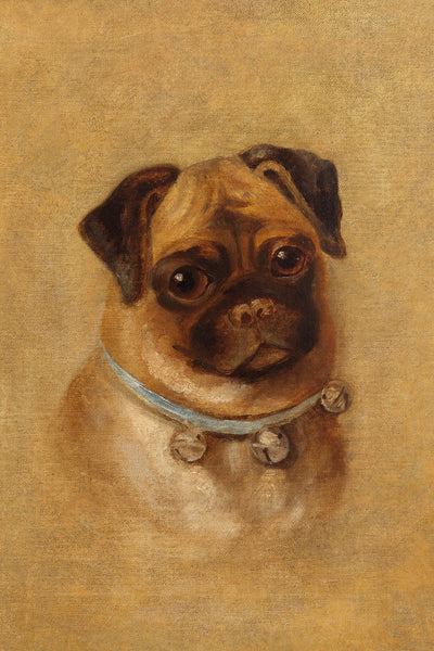 PORTRAIT OF A PUG - Museum Quality Art