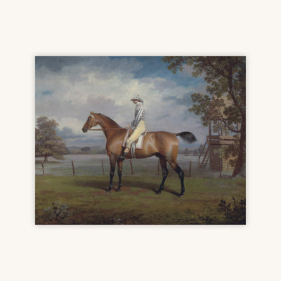 PORTRAIT OF A RACEHORSE — Primary Image