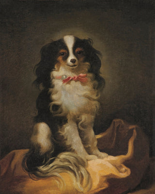 Portrait of Cavalier King Charles Spaniel
