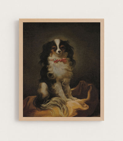 Portrait of Cavalier King Charles Spaniel