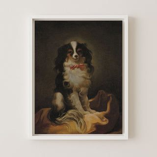 Portrait of Cavalier King Charles Spaniel