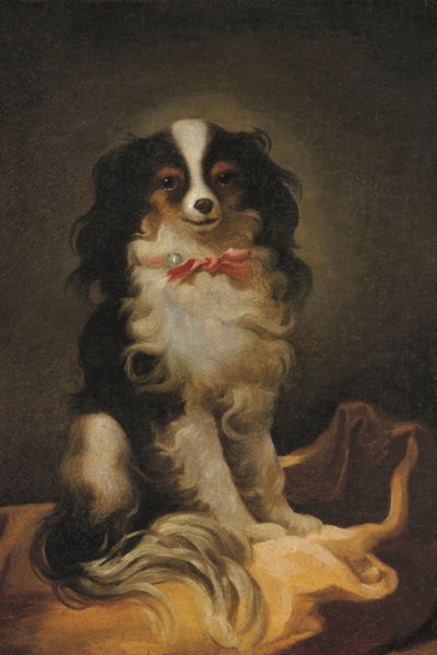 Portrait of Cavalier King Charles Spaniel