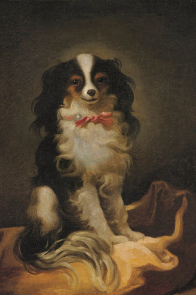 Portrait of Cavalier King Charles Spaniel