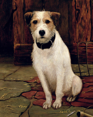 Portrait of Terrier