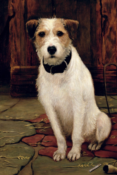 Portrait of Terrier