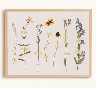PRESSED WILDFLOWERS 2 - Museum Quality Art