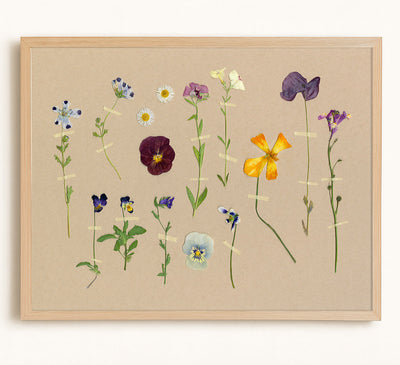 PRESSED WILDFLOWERS - Museum Quality Art