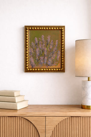 Provence Lavender