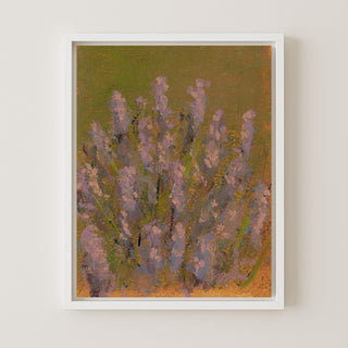 Provence Lavender