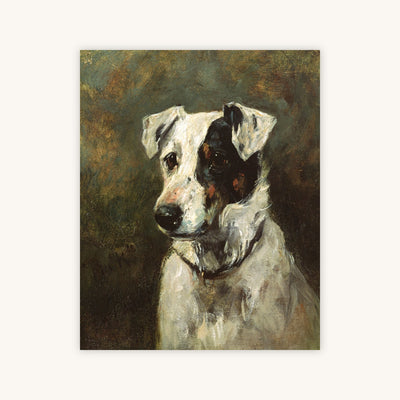 PUCK — Primary Image