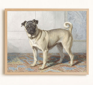 PUG - Museum Quality Art