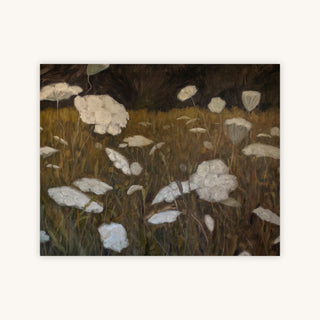QUEEN ANNE'S LACE — Primary Image