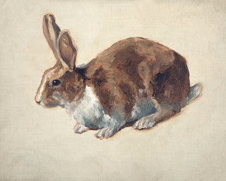 Rabbit