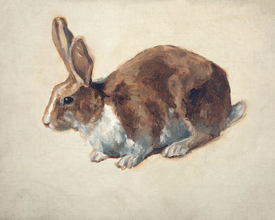 Rabbit