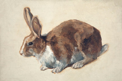 Rabbit