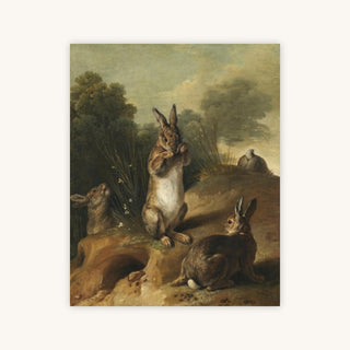 Rabbits — Primary Image