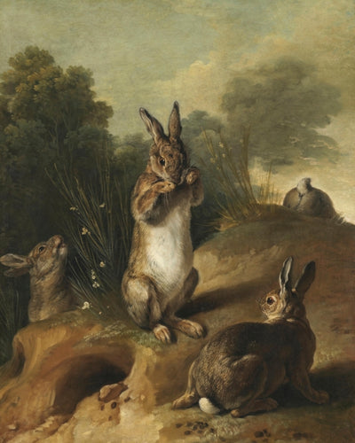 Rabbits