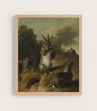 Rabbits